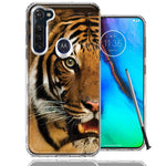 Motorola Moto G stylus Tiger Face Design Double Layer Phone Case Cover