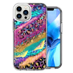 Apple iPhone 13 Pro Max Leopard Paint Colorful Beautiful Abstract Milkyway Double Layer Phone Case Cover